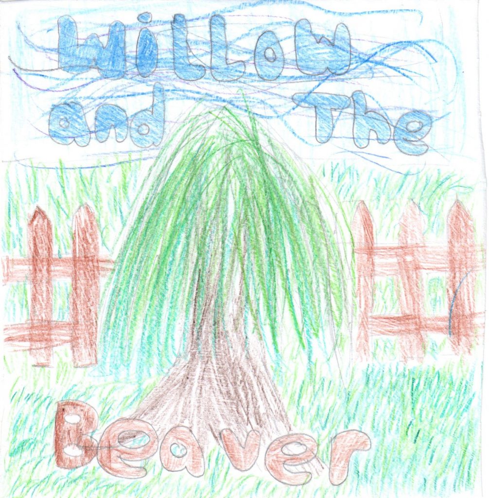 willow and the beaver schools workshop